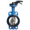 Затворы поворотные дисковые
